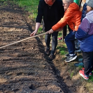 Kobieta i chłopiec znaczą grządki