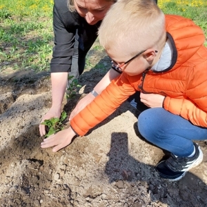 Kobieta i chłopiec sadzą rośliny