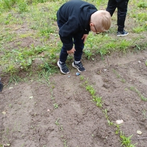 Chłopiec obserwuje rośliny