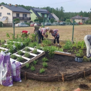 Kobiety sadzą zioła na przygotowanym terenie.