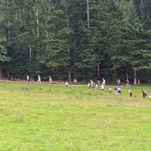 Zielona łąka po której jeden za drugim wędruje grupa ludzi. W tle ściana lasu.