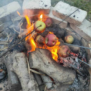 Pieczone jabłka w ognisku.