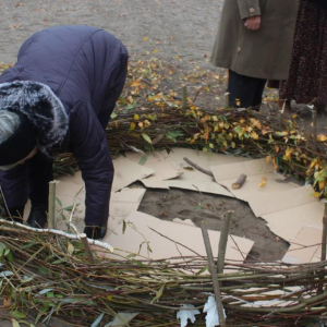 Seniorka wykłada wnętrze rabaty kawałkami tektury