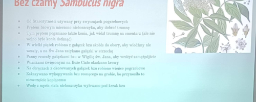 Śmierć, zaduszki, korony nagrobne MEN 2025