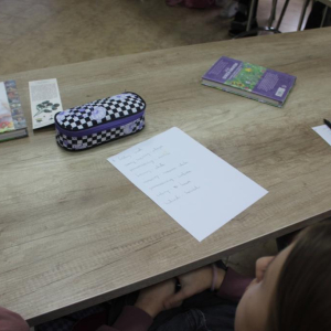 Rysunek palmy wielkanocnej z opisem