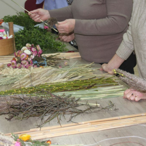Zioła, zboża, gałązki z kolcami leżą w pęczkach na stole
