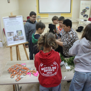 Kobieta pokazuje chłopcu , jak wykonać palmę otaczający ich uczestnicy przyglądają się