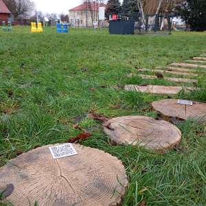 Pola do gry terenowej.