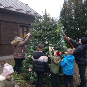Rodzice z dziećmi stroją świąteczne drzewko przed biblioteką