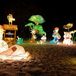 Instalacja świetlna "Piękna i Bestia"