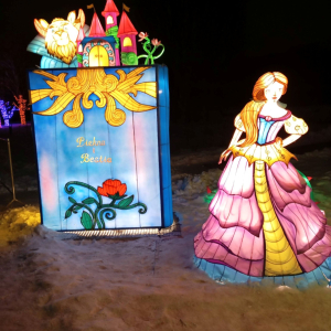 Instalacja świetlna "Piękna i Bestia"