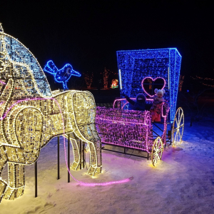 Instalacja świetlna: kareta z koniem