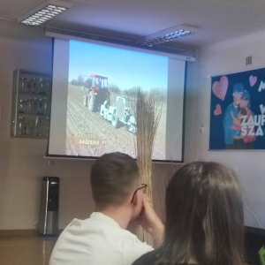 Na zdjęciu widzimy troje uczniów siedzących tyłem, przed nimi widać duży ekran na którym wyświetlana jest prezentacja na temat wikliny obok ekranu stoi wysoki snopek z wikliny.