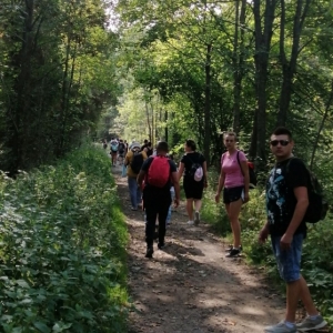 Uczestnicy idą leśnym traktem