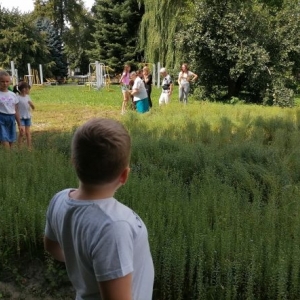 Dzieci stoją wspólnie z dorosłymi w pobliżu rosnącego lnu